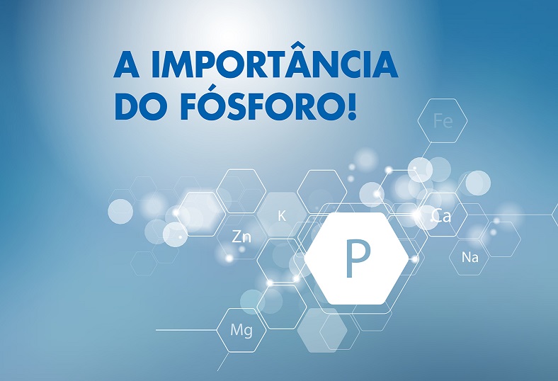  Você sabe a importância do fósforo em nosso organismo?